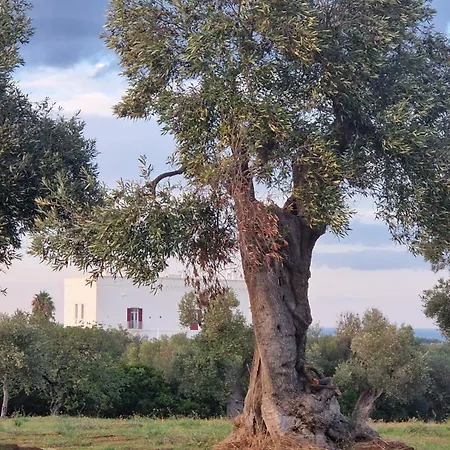 Papillon Апартаменты *