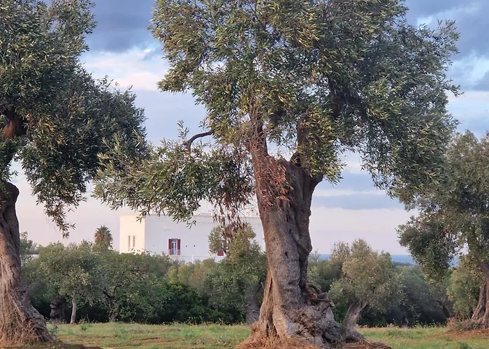 Papillon Apartment *