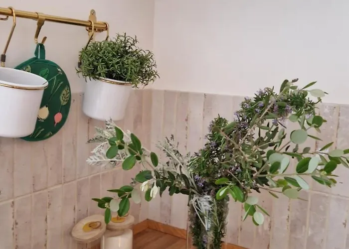 Apartment Papillon Capitolo