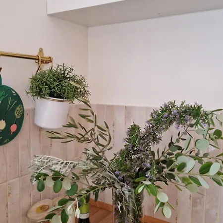 Apartman Papillon Capitolo