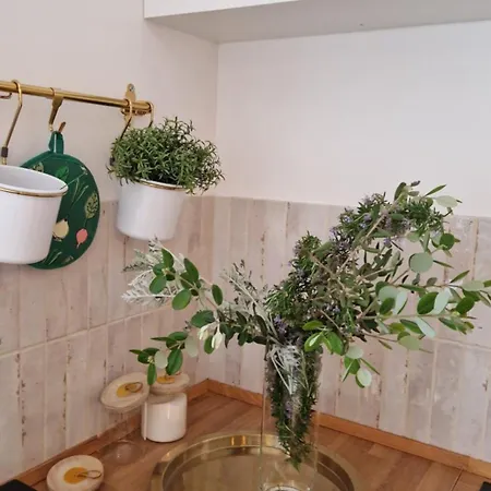 Apartman Papillon Capitolo