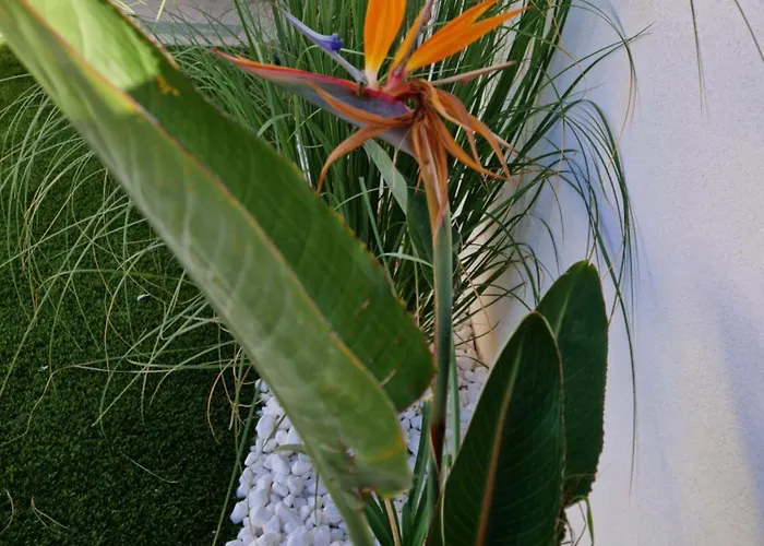 דירה Papillon Capitolo